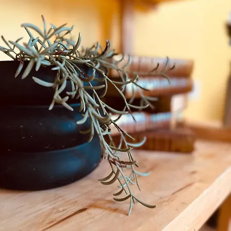 Les Annees Folles Valentinoises - Spacieux - 5 Couchages * ואלנס