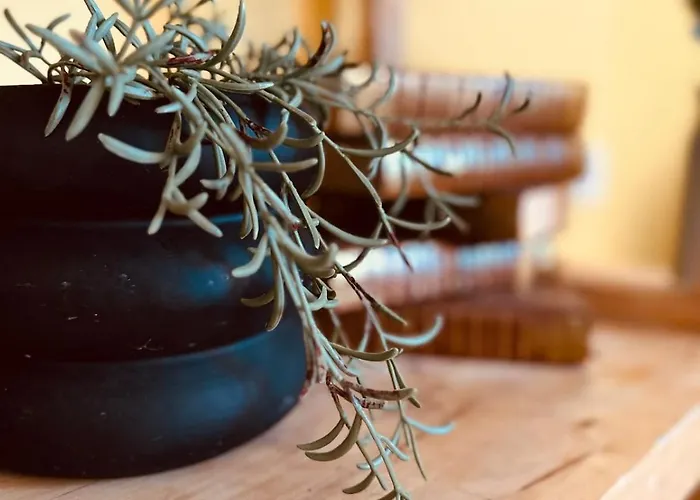 Les Années Folles Valentinoises - Spacieux - 5 Couchages * Valence (Drome)